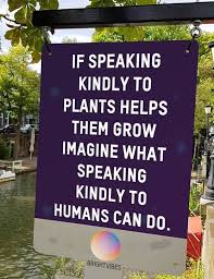 Bright Vibes Via Dr Rabbani Amber Linkedin Positive Memes Plant Help Wholesome