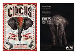 Circus Animal Cruelty Ads Statistics How You Can Help Animal Cruelty Awareness Animal Rescue Animal Rescue Center