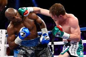 Saul Canelo Alvarez Vs Floyd Mayweather Jr Canelo Alvarez Floyd Mayweather Saul Canelo Alvarez