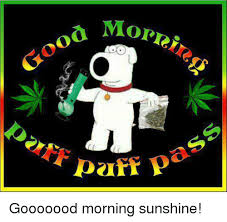 Wow just amazing good morning memes. 25 Best Good Morning Sunshine Memes Good Morning My Love Memes Morning Sunshine Memes Morning Beautiful Memes