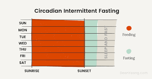 Intermittent fasting weight loss plan, sample diet schedules, success stories with before & after results of using intermittent fasting. The Complete Guide To Intermittent Fasting For Beginners