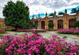 текст при наведении