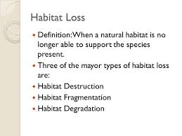 How to use habitat in a sentence. Why Should We Worry About The Species On The Endangered List Abigail Hernandez Ppt Download