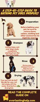 A Step By Step Guide To Bathing Pet Dogs Properly Everlastinghelp Com Pets Pet Dogs Best Dog Training