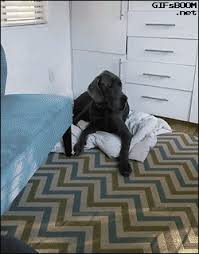 32 Cutest Kids Animated Gif