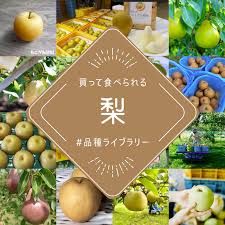農家直送の梨20種類ご紹介 買って食べられる梨の品種図鑑 農家漁師から産地直送の通販 ポケットマルシェ