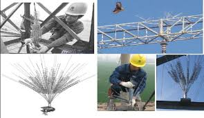 Résultat de recherche d'images pour "bird scarer from china"