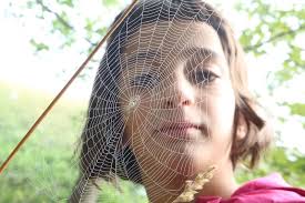 An Ecological Human Settlement Theory