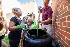 Sustainability in the Garden