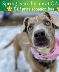 Restaurateurs bring lifelong friendships to new Carbondale venture