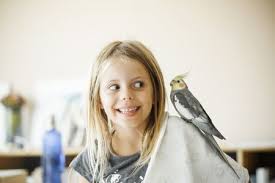 Check spelling or type a new query. Birds That Make Great Pets For Kids