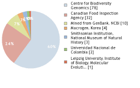 Image result for Andropogon amethystinus