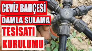 Ceviz Bahcesi Damla Sulama Tesisati Nasil Kurulur Yuzuklu Damlama Tesisati Kurulumu Youtube