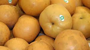 Check spelling or type a new query. What You Should Know About The Bae Pear