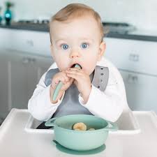 Foodie® Feeding Set: Sage