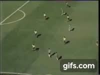 In 1994, andres escobar was executed on the streets of colombia for scoring an own goal at the world cup. Andres Escobar Own Goal World Cup 1994 Usa Colombia Animated Gif