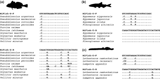 Maybe you would like to learn more about one of these? Mifish Metabarcoding A High Throughput Approach For Simultaneous Detection Of Multiple Fish Species From Environmental Dna And Other Samples Springerlink