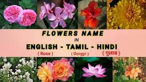 Check spelling or type a new query. Best Of Flowers Name In Tamil Free Watch Download Todaypk