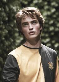 Which Harry Potter House Should You Actually Be In Harry Potter Characters Cedric Diggory Harry Potter Love