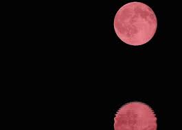 La super lune rose, également connue sous le nom pleine lune au périgée, est un évènement si le spectacle devrait scintiller dans le ciel plusieurs heures, à condition que le ciel soit plutôt dégagé, la. Ces 4 Signes Du Zodiaque Ressentiront Le Plus L Intensite De La Pleine Lune Rose D Avril 2020 Esprit Spiritualite Metaphysiques