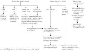 Pressure Ulcers Prevention Evaluation And Management