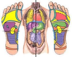 Health Reflexology Nerve Ending In The Feet Mirror All