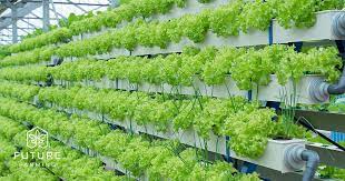 Homepage Future Farming