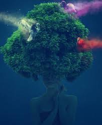 Rêver qu'on lui crie dans les oreilles je me réveille avec les sons stridents d'un cri encore dans mes oreilles. Paralysie Du Sommeil Entre Reves Et Realites Inexplore Digital