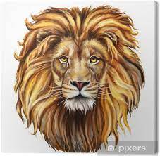 pin by nika811 on quadro lion painting canvas art coloriage renne