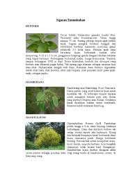 Ku disebut gawena, terang kana barangna. Sunda