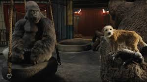 Can a gorilla ape banksy? Film Review The One And Only Ivan Disney Laughingplace Com