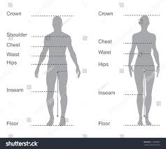 basic body measurement chart human measurements chart