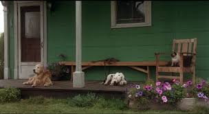This time out, the urban jungle of top of this movie page. February 12 Disneydetail