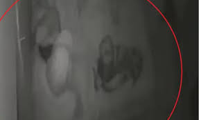 Homem invade casa e tenta estvpr4r grávida que dormia com o marido no AM -  Notícias | Giro Portal