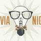 Trivia Night! event in Glen Arbor, MI