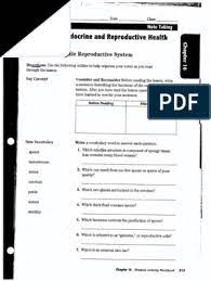 16 Pdf