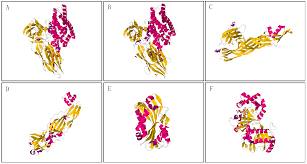 The landlord or the tenant? Toxins Free Full Text Insecticidal Activity Of Bacillus Thuringiensis Proteins Against Coleopteran Pests Html