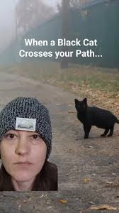 When a Black Cat Crosses your Path... #appalachia #appalachian  #appalachians #appalachianmountains #appalachianfolklore  #appalachianfolkmagic #appalachiatok #appalachiannative #southern  #explorepage✨ ...