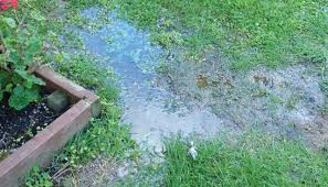 How to drain a boggy garden. Down The Drain Mitre 10