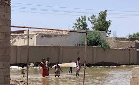 Check spelling or type a new query. Sudan Deadly Floods Across Sudan Allafrica Com