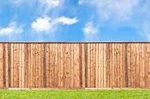 Image result