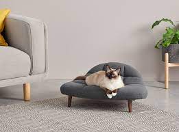 Cat Sofa Pet Beds Pets Cat Bed