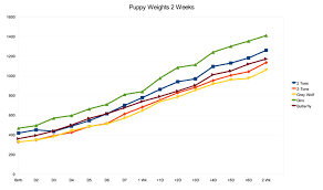 Finnish Lapphund Growth Chart