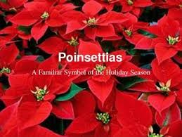 Pin On It S The Most Wonderful Time Of The Year