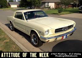 Image result for Phoenician Yellow 1964 Mustang