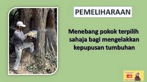 Pemuliharaan dan pemeliharaan alam sekitar pendahuluan pemeliharaan dan pemuliharaan alam sekitar merupakan satu perkara yang amat penting sekali dalam usaha kita untuk mencapai… text of pemuliharaan dan pemeliharaan alam sekitar.doc. V Menghuraikan Langkah Langkah Pemeliharaan Dan Cute766