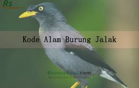 Maybe you would like to learn more about one of these? Mimpi Rusa Togel Syair Hewan Liar