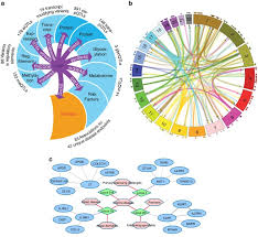 I din ordonanţa de urgenţă a guvernului nr. Connecting Genetic Risk To Disease End Points Through The Human Blood Plasma Proteome Nature Communications