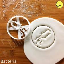 Pin On Microbiology