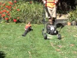 Compare homeowner reviews from 9 top indianapolis mow and maintain a lawn services. Lawn Mowing Comparison Mulcher Vs Catcher Youtube